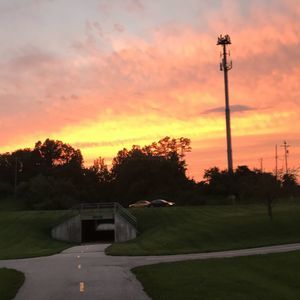 Meet your Posher, Logan